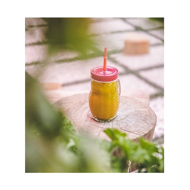 Owl smoothie bottle