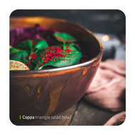 Coppa triangle salad bowl